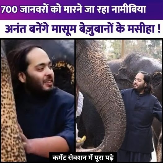anantpahel