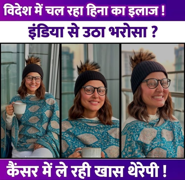 hina videsh